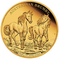 2026 Australian Brumby 1oz Gold Proof Perth Mint Presentation Case & COA, front