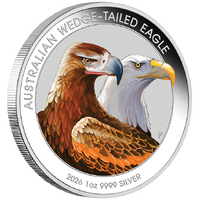 2026 Australian Wedged-Tailed Eagle 1oz Silver Coloured Perth Mint Coin in Card, obverse