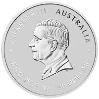 2026 Australian Lunar Series III Year of the Horse 1kg and gold Silver Coloured Perth Mint Presentation Case & COA, obverse