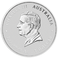 2026 Australian Lunar Series III Year of the Horse 1oz Silver Gilded Perth Mint - IN CAPSULE ONLY - with certificate, obverse