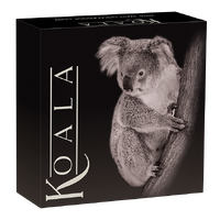 2025 Australian Koala 1/2oz Gold Proof Perth Mint Presentation Case & COA, obverse