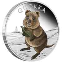 2021 Quokka 1oz Silver Coloured Proof Perth Mint Presentation Case & COA