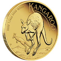 2022 Australian Kangaroo 1/4 oz Gold Proof Perth Mint Presentation Case & COA