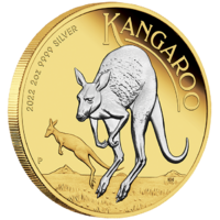 2022 Australian Kangaroo 2oz Silver Reverse Gilded Coin Perth Mint Presentation Case & COA image