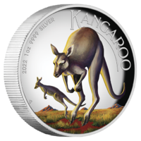 2022 Australian Kangaroo 1oz Silver Coloured High Relief Coin Perth Mint Presentation Case & COA