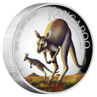 2022 Australian Kangaroo 1oz Silver Coloured High Relief Coin Perth Mint Presentation Case & COA image