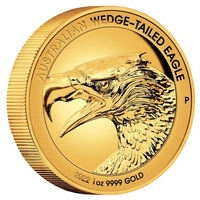 2022 Australian Wedge-Tailed Eagle 1 oz Gold Ultra High Relief Perth Mint Presentation Case & COA image
