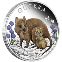 2022 Quokka 1oz Silver Proof Coloured Perth Mint Presentation Case & COA image