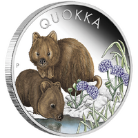 2023 Australian Quokka 1oz Silver Proof Coloured Perth Mint Presentation Case & COA image