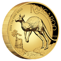 2024 Australian Kangaroo 1oz Gold Proof High Relief Perth Mint Presentation Case & COA