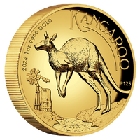 2024 Australian Kangaroo 1oz Gold Proof High Relief Perth Mint Presentation Case & COA image