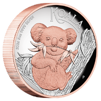 2026 Australian Koala 5oz Silver Proof High Relief Rose Gold Gilded $8 Perth Mint Presentation Case & COA, front