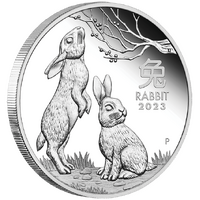 2023 Australian Lunar Series III Year of the Rabbit 1oz Silver Proof Perth Mint Presentation Case & COA image
