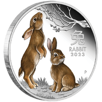 2023 Australian Lunar Series III Year of the Rabbit 1oz Silver Proof Coloured Perth Mint Presentation Case & COA image