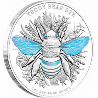 2026 Australian Native Bees Teddy Bear 1oz Silver Proof Coin Presentation Case and COA, front