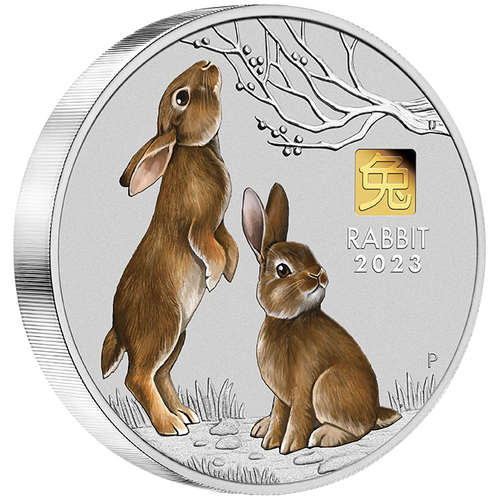2023 Australian Lunar Series III Year of the Rabbit 1kg Silver Coloured with Gold Privy Mark Presentation Case & COA