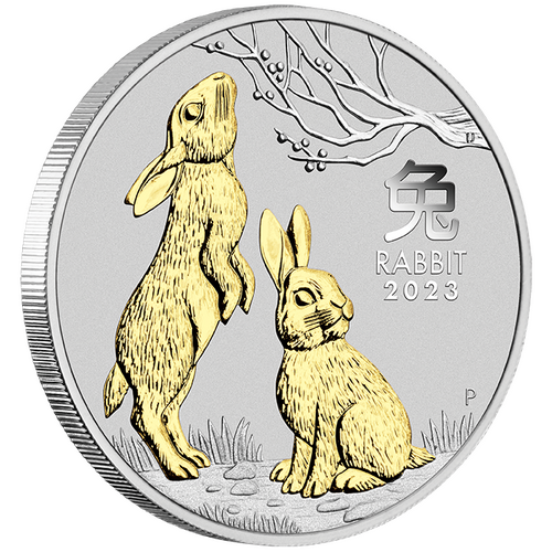 2023 Australian Lunar Series III Year of the Rabbit 1oz Silver Gilded Perth Mint Presentation Case & COA